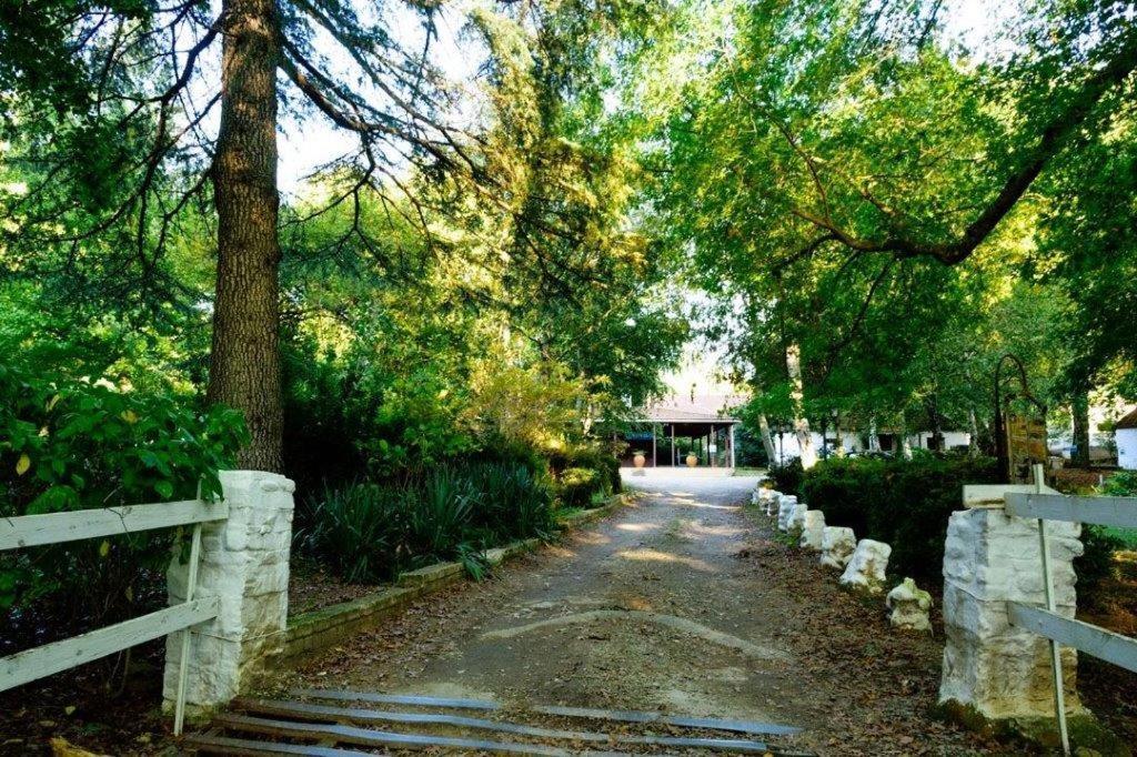Kings Lodge Hotel Hogsback Exterior foto